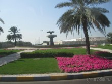 Великолепие- благодарность первому президенту ОАЭ !