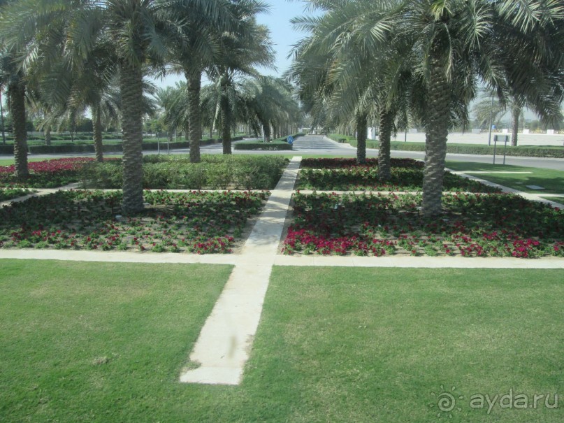 Великолепие- благодарность первому президенту ОАЭ ! Великолепие- благодарность первому президенту ОАЭ !