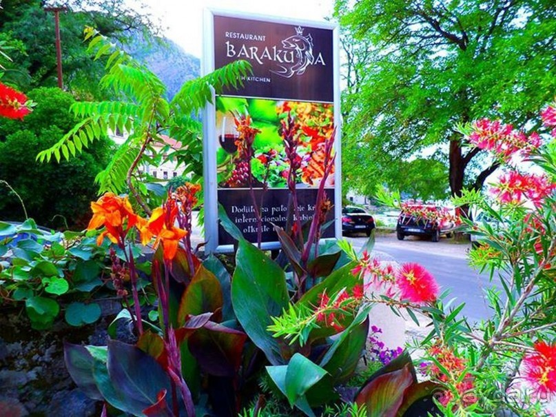 Вилла Натали в Бечичи,ставшая раем для нас на две недели!