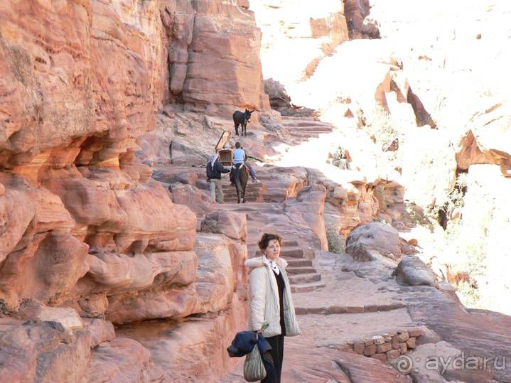 Новогодний отдых в Иордании