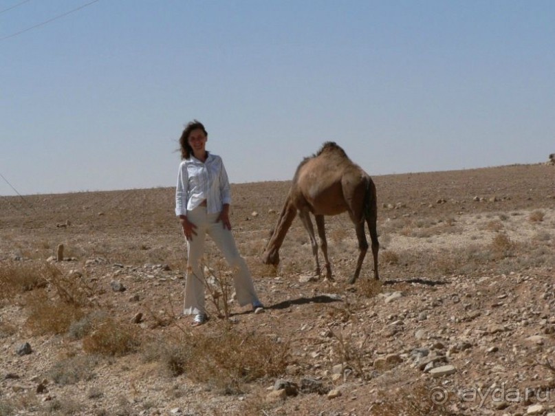 Новогодний отдых в Иордании