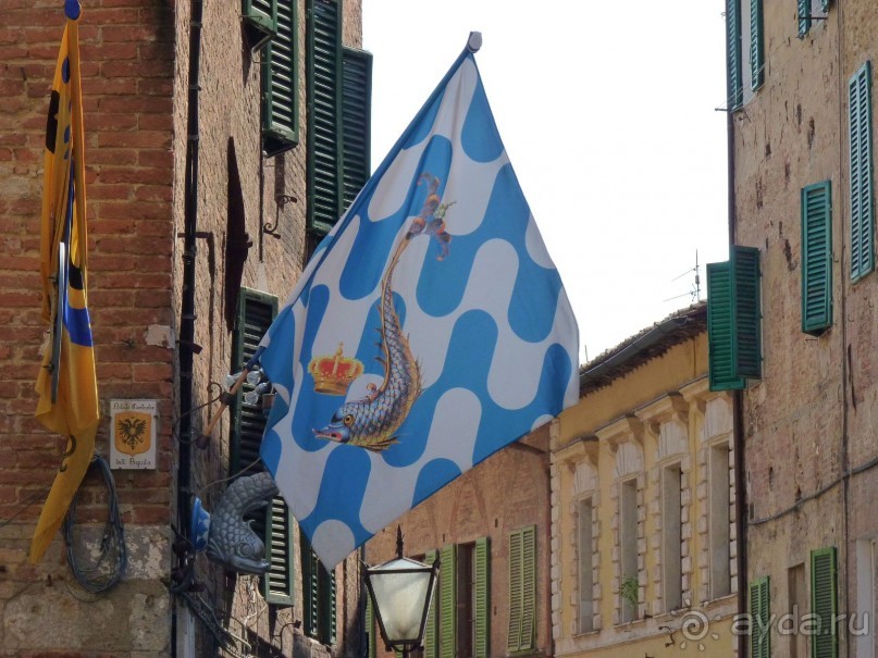 Сиена и ее необычный праздник