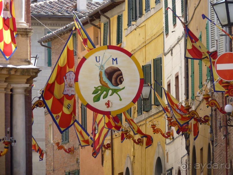 Сиена и ее необычный праздник