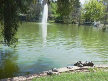  Уютный парк Мадрида