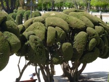  Уютный парк Мадрида