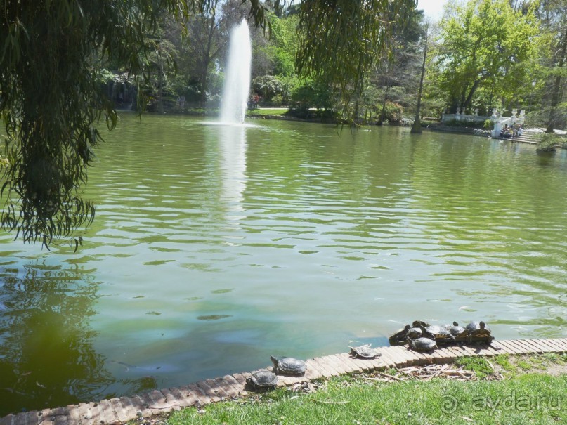 Уютный парк Мадрида Уютный парк Мадрида