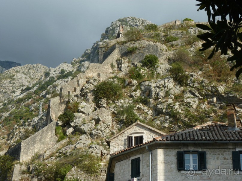 Котор: Старый город