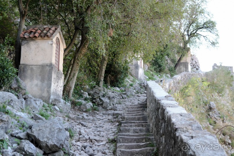 Крепость Святого Иоанна. Котор