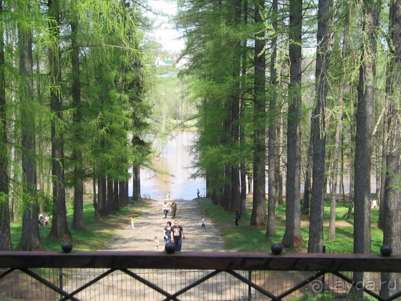 Лермонтов и Подмосковье. Середниково 