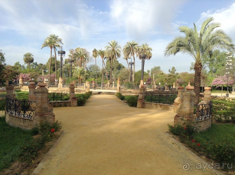 Красавица Севилья