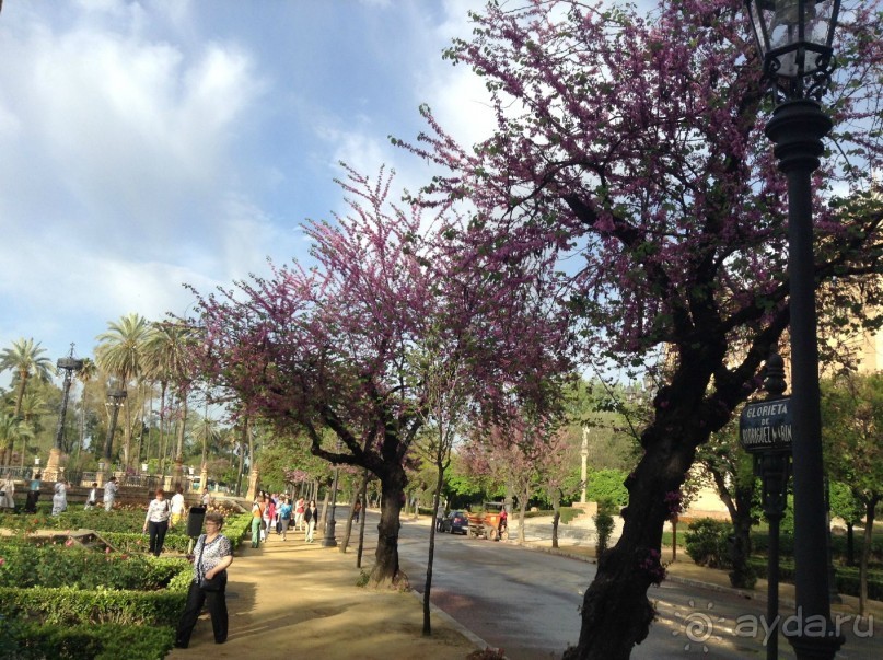 Отдохните в парке Сивильи