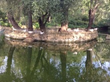 Отдохните в парке Сивильи