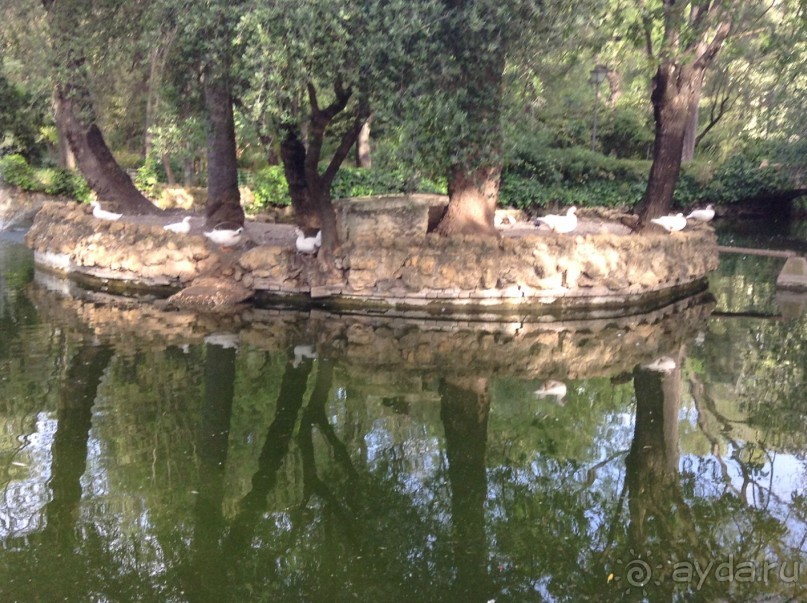 Отдохните в парке Сивильи