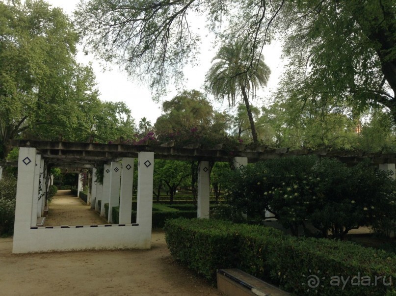 Отдохните в парке Сивильи