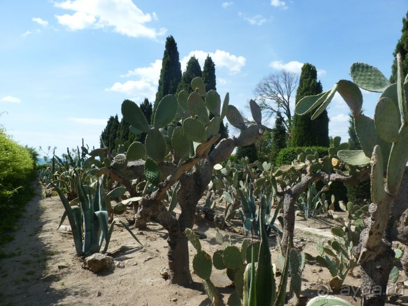 Альбом отзыва "Райский уголок Балчика"