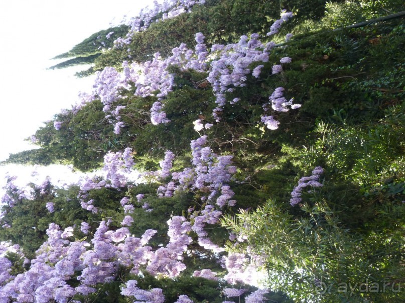 Вдоль озера Гарда