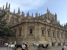 Севильский исполин 