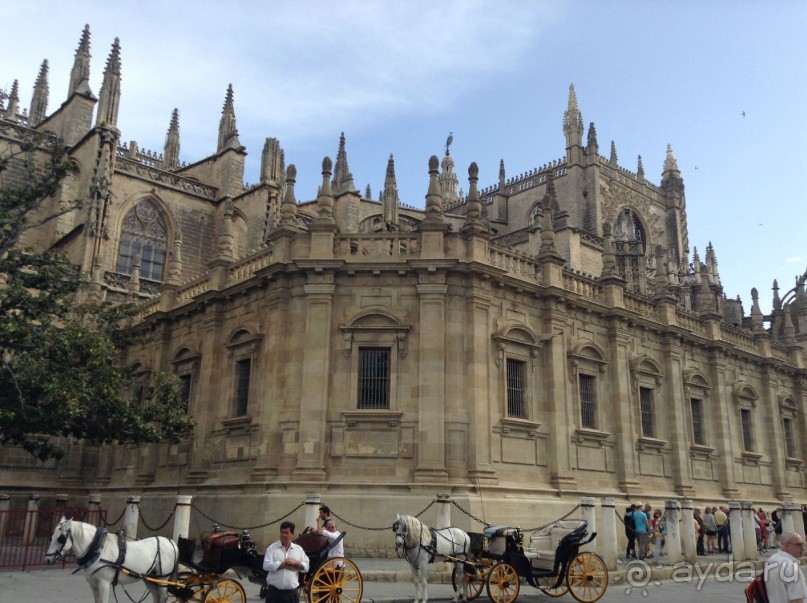 Севильский исполин 