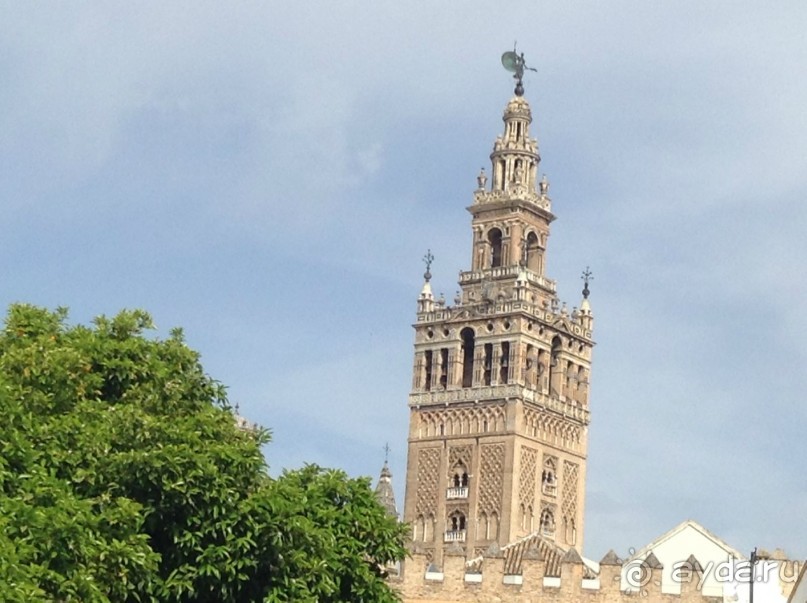 Севильский исполин 