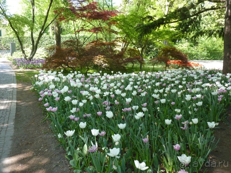 Парк Сигурта в районе озера Гарда