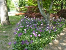 Парк Сигурта в районе озера Гарда