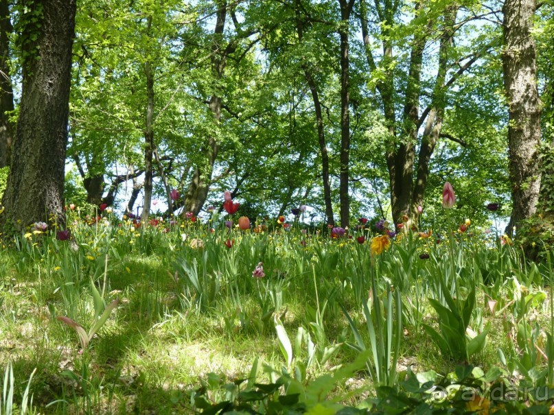 Парк Сигурта в районе озера Гарда