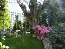 Абано Терме - райский уголок Италии