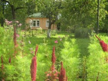 Усадьба А.П. Чехова - Мелихово Усадьба А.П. Чехова - Мелихово