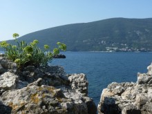 Что посмотреть в Херцег- Нови ?