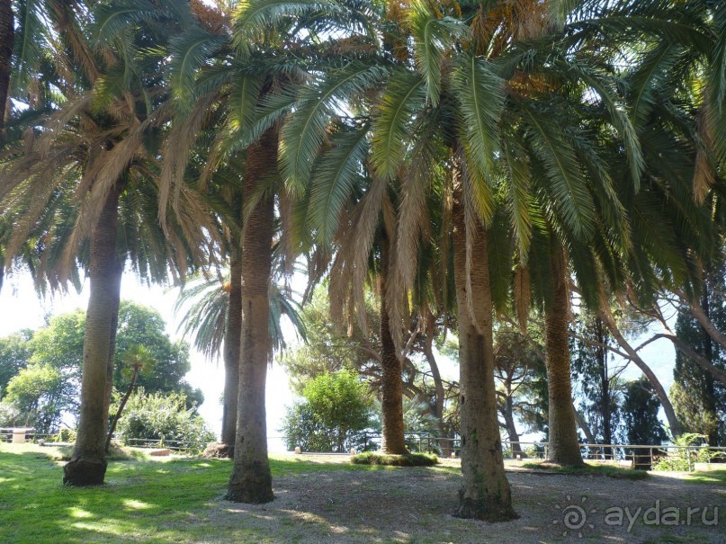 фото Герцег Нови