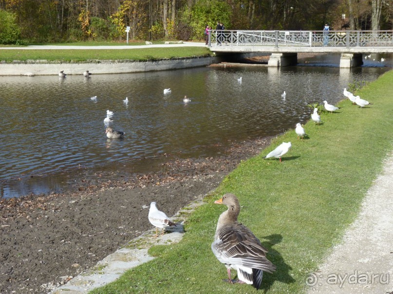 Загородный  дворец баварских монархов.