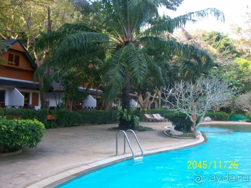 Альбом отзыва "отдых на острове коралл"