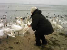 Ехать или не ехать в "Кубань"