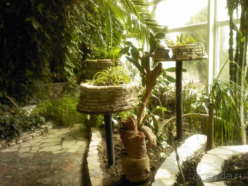 Ехать или не ехать в "Кубань"