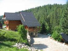 Карпатская вилла