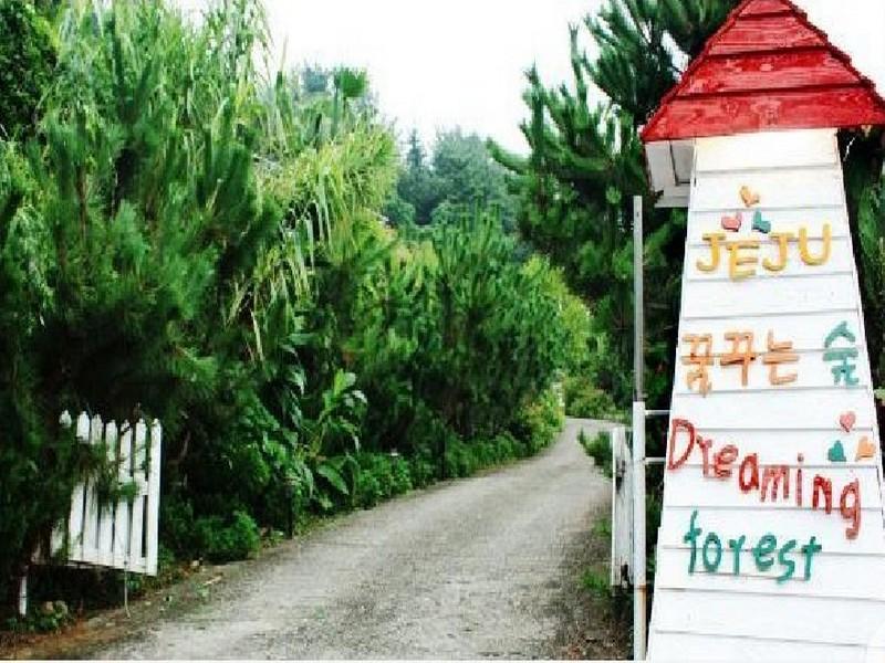 Dreaming Forest Pension