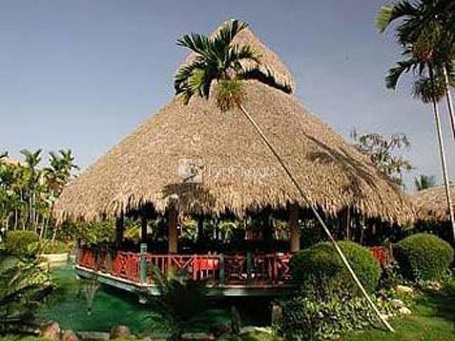 Hamaca Coral by Hilton