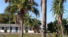 Park