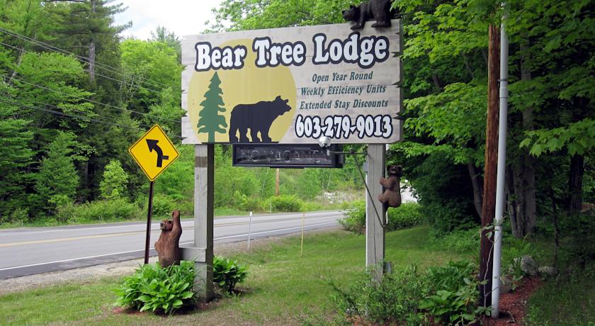 Bear Tree Lodge