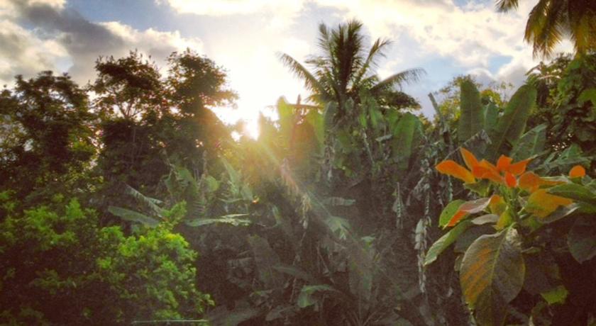 Heavenly Hana Paradise