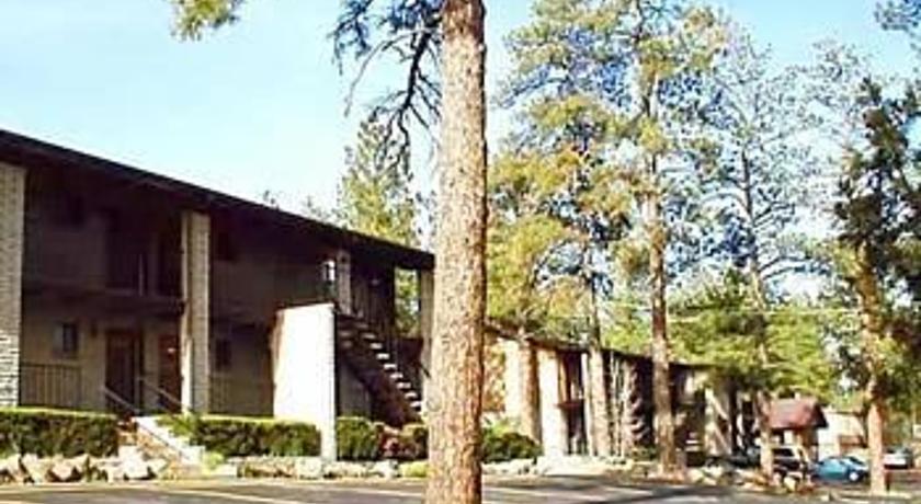 Motel In the Pines