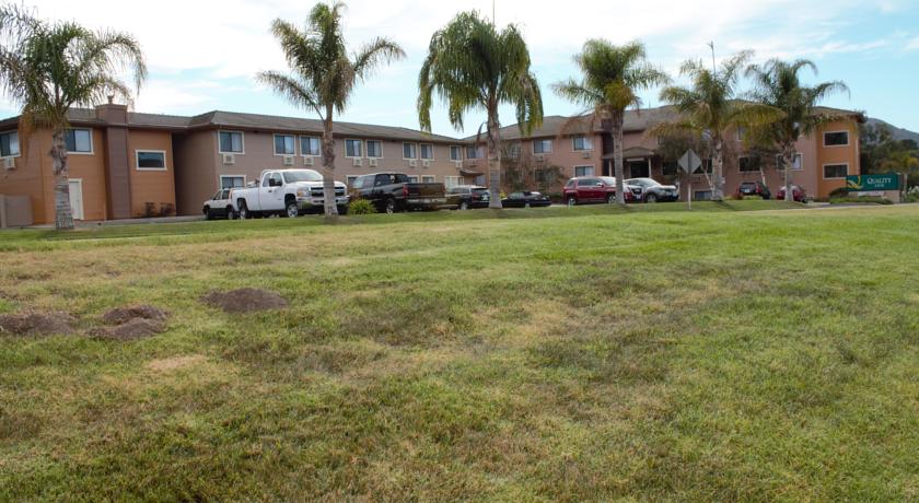 Quality Inn Buellton