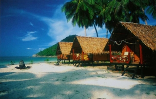 Central Cottage Resort