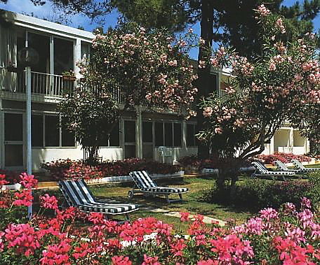 Dolce Vita (Ajaccio)