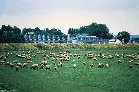 Le Relais St. Michel