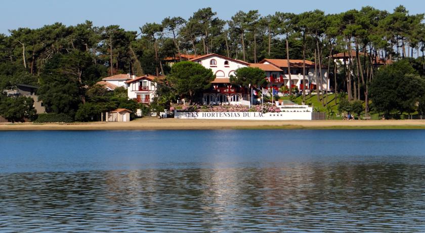 Les Hortensias du Lac