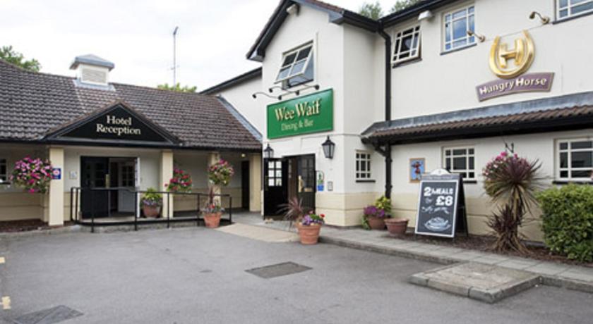 Hungry Horse - The Wee Waif