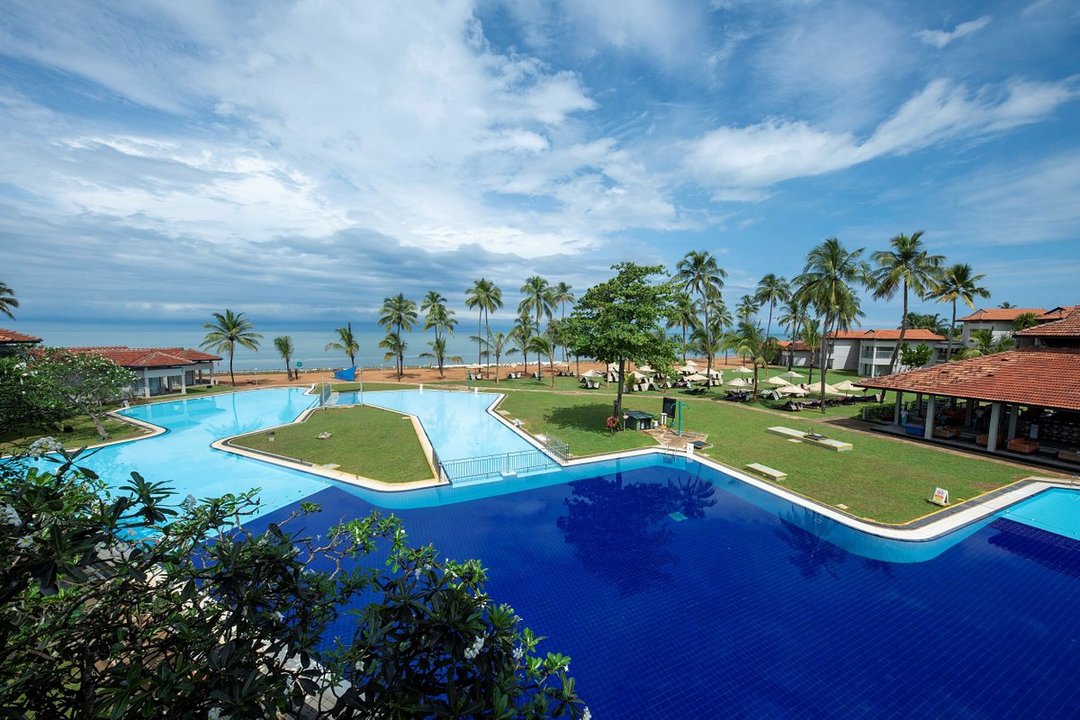 Club Dolphin