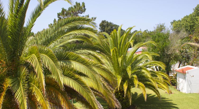 Quinta Do Moinho De Vento