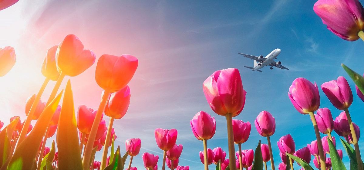 Рейтинг недорогих направлений на майские праздники